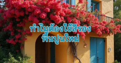 ประโยชน์สำคัญของสีรองพื้นปูนใหม่