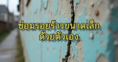 ซ่อมรอยร้าว