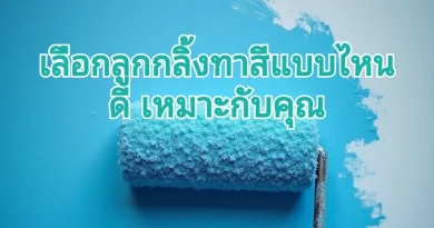 ลูกกลิ้งขนยาว