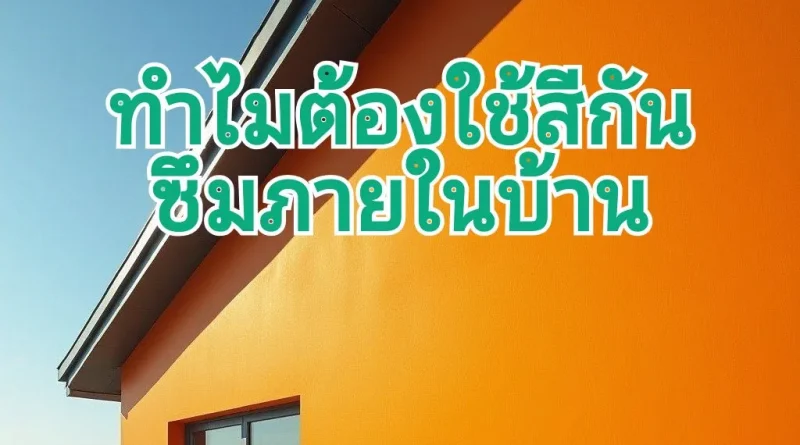 สีกันซึมตามผนังบ้าน