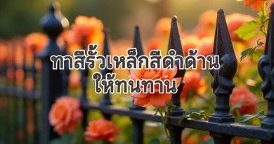 ทาสีรั้วเหล็กดำด้าน