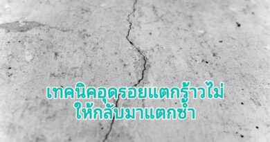 รอยแตกร้าวขนาดเล็กมาก