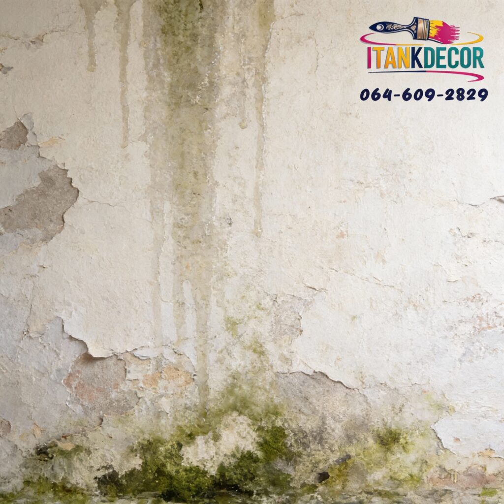 ความชื้นจากผนัง