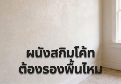 ผนังสกิมโค้ท