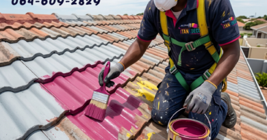 ทาสีหลังคาบ้านตัวเอง