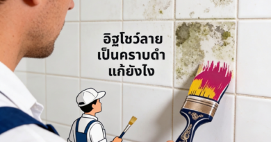 อิฐโชว์ลายแก้ยังไง