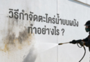 กำจัดตะไคร่น้ำได้ยังไง