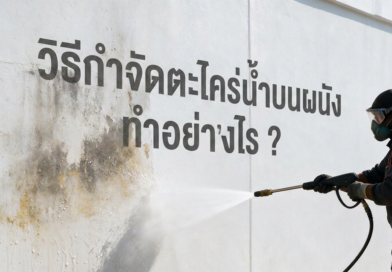 กำจัดตะไคร่น้ำได้ยังไง